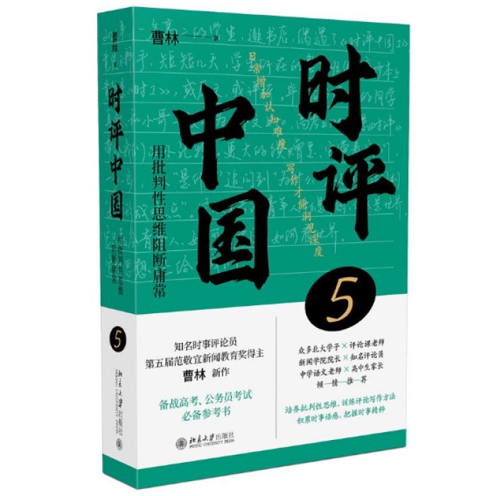 时评中国5