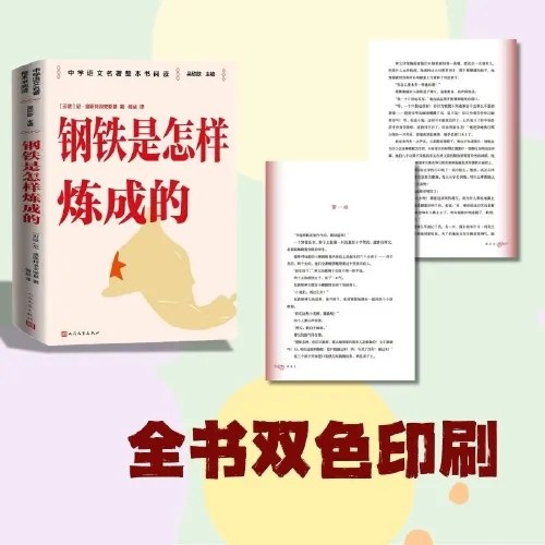 钢铁是怎样炼成的 整本书阅读语文教材七年级下册推荐书目 中学语文名著整本书阅读丛书 全本无删减 名师教学手帐 双色印刷装帧 人民文学出版社