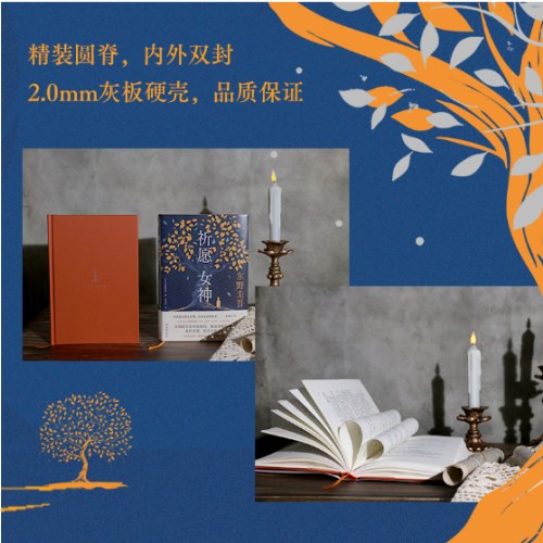 祈愿女神（东野圭吾新书）