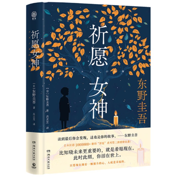 祈愿女神（东野圭吾新书）