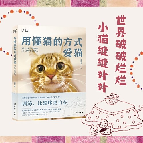 用懂猫的方式爱猫