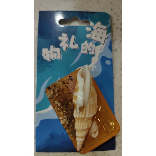 城市纪念品-海螺冰箱贴-款式随机