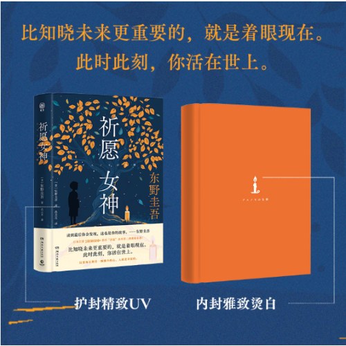 祈愿女神（东野圭吾新书）