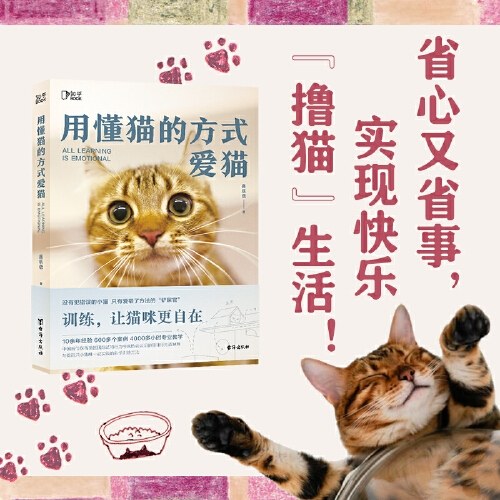 用懂猫的方式爱猫