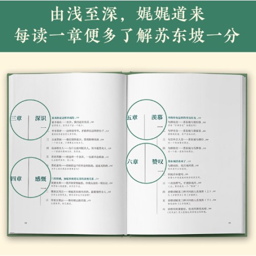人生得遇苏东坡