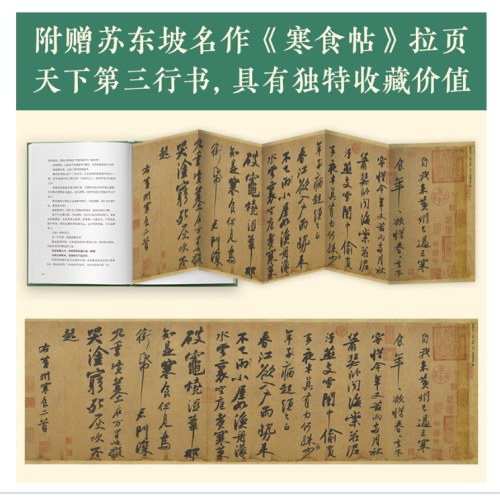 人生得遇苏东坡