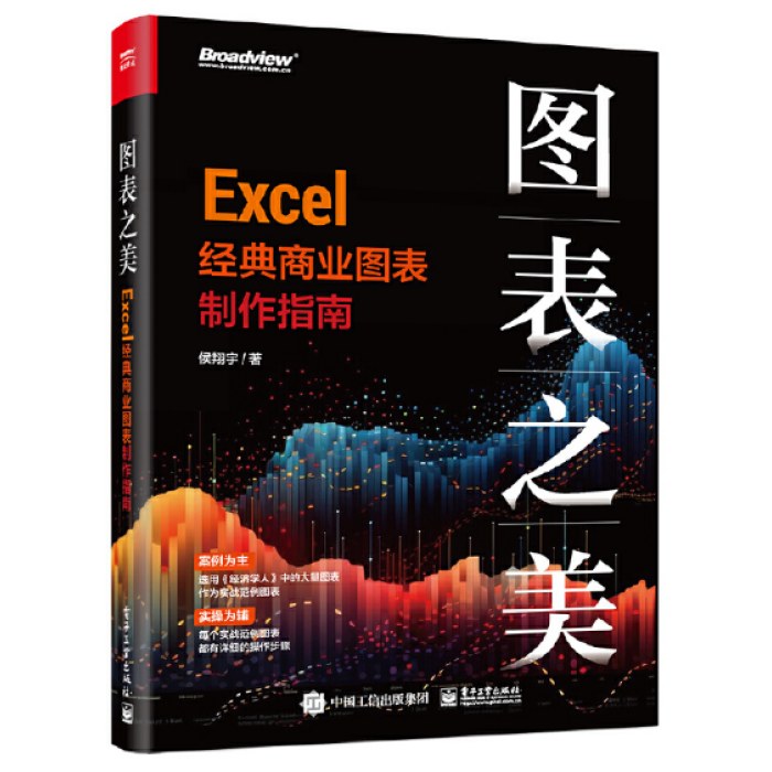 图表之美：Excel经典商业图表制作指南