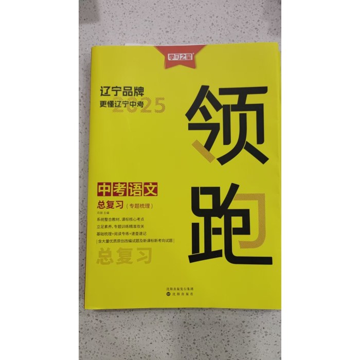 2025领跑 中考语文  总复习（专题梳理）