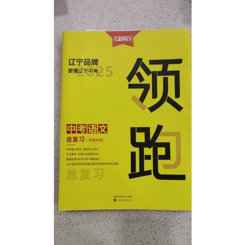 2025领跑 中考语文  总复习（专题梳理）