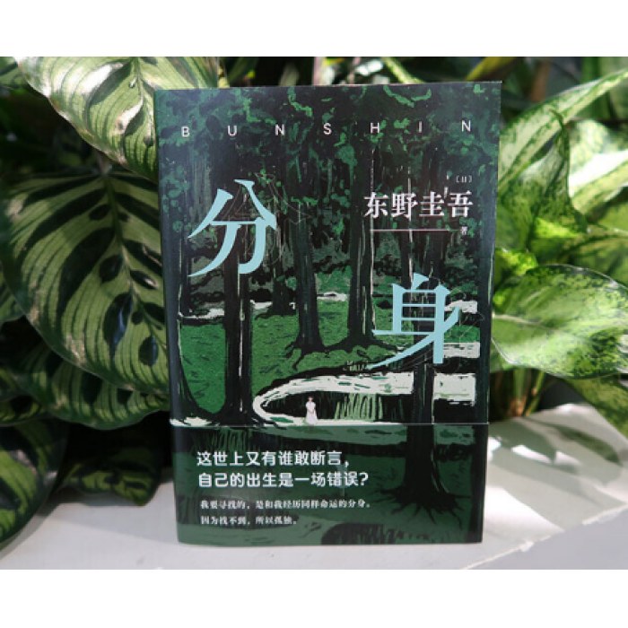 东野圭吾：分身（东野圭吾无法再现的双女主之作 奇绝瑰丽、残忍又温情）
