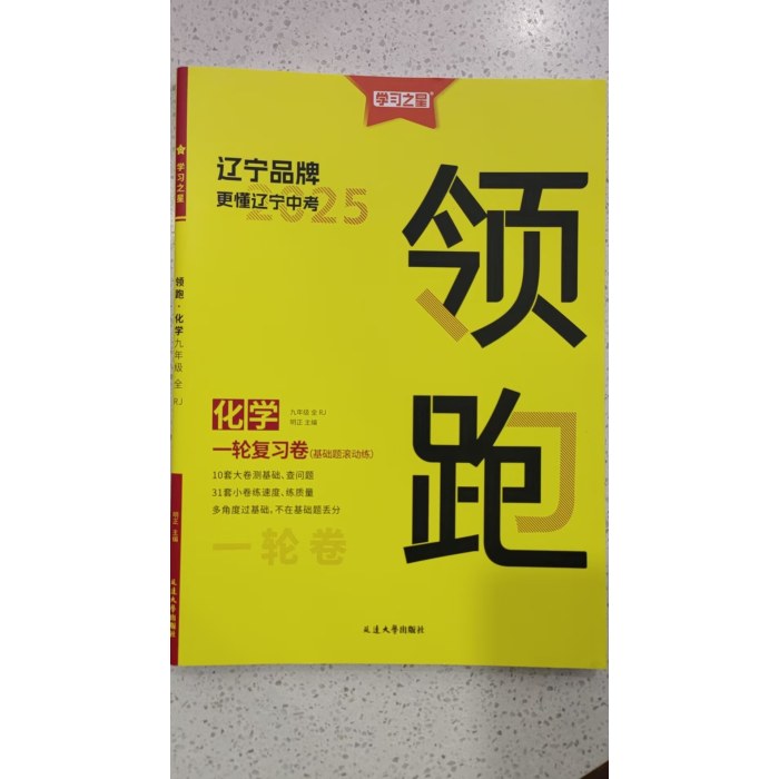 2025领跑 中考化学 一轮复习卷（基础题滚动练）