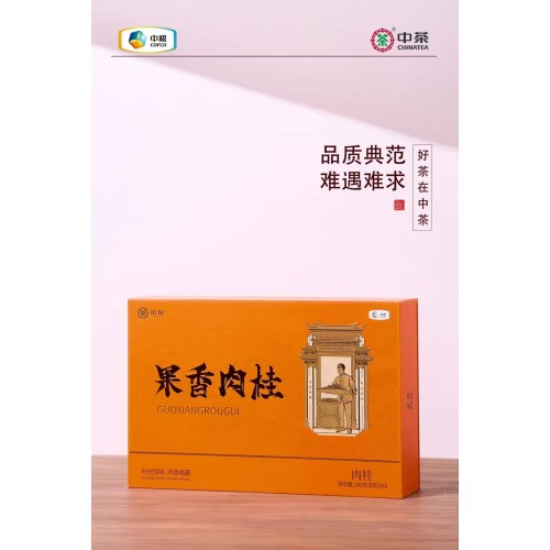 中茶岩系列果香肉桂240g