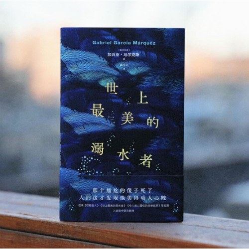 世上最美的溺水者