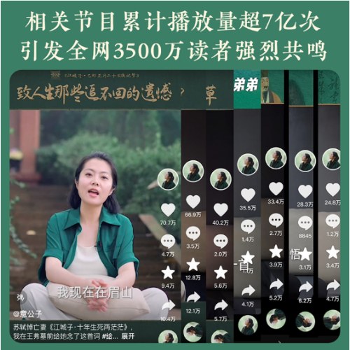 人生得遇苏东坡