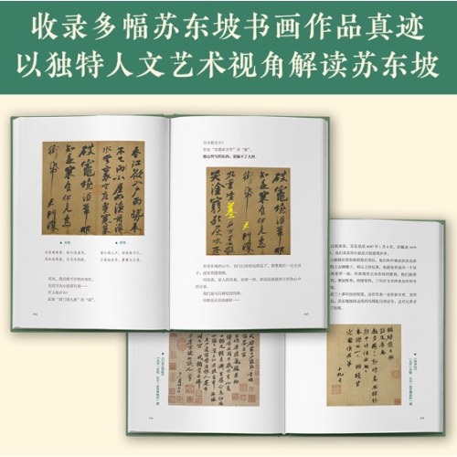 人生得遇苏东坡