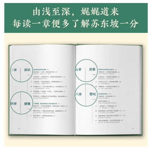 人生得遇苏东坡