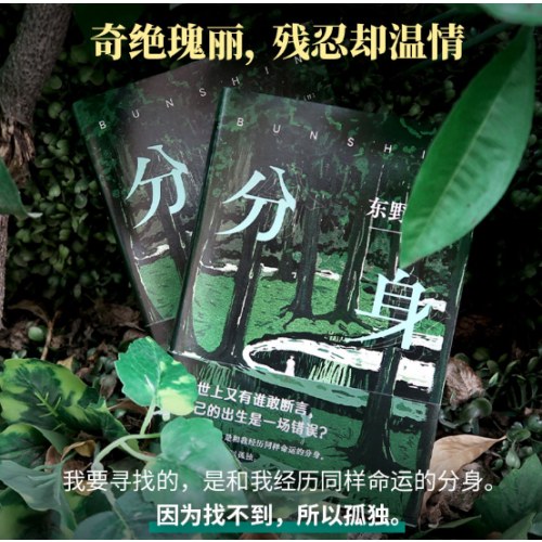 东野圭吾：分身（东野圭吾无法再现的双女主之作 奇绝瑰丽、残忍又温情）