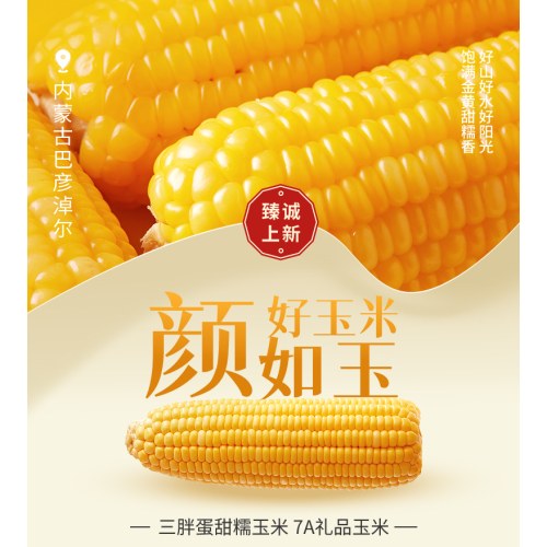 【三胖蛋玉米228g*5】糯玉米真空鲜包装袋 加热即食（5只装）