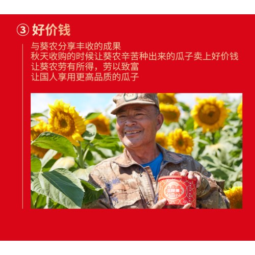 三胖蛋美满时嗑礼盒  五香175g*6罐