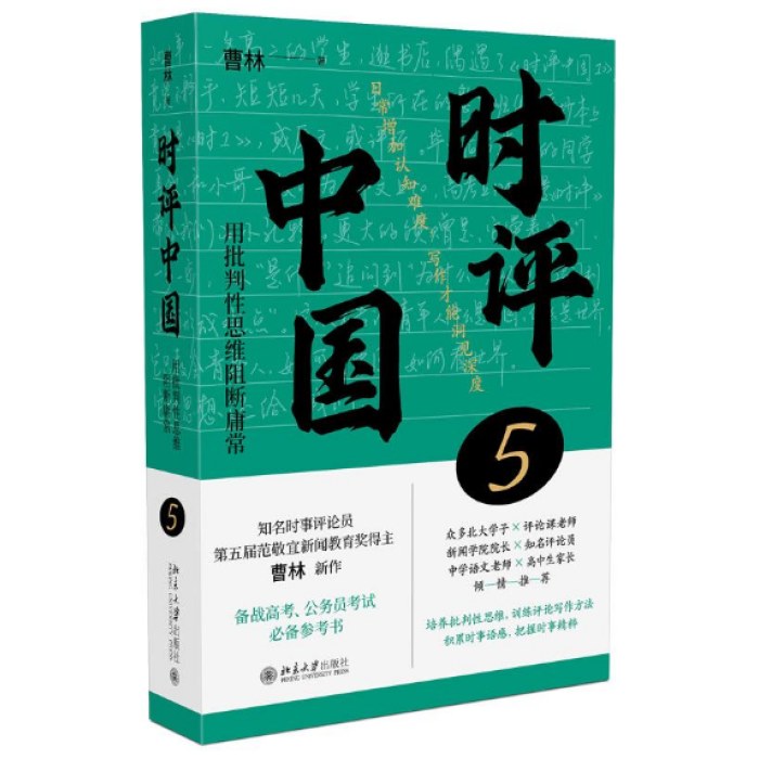 时评中国5