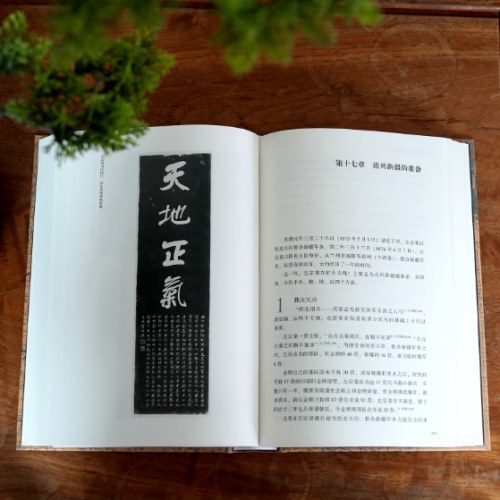 孤勇:左宗棠新传