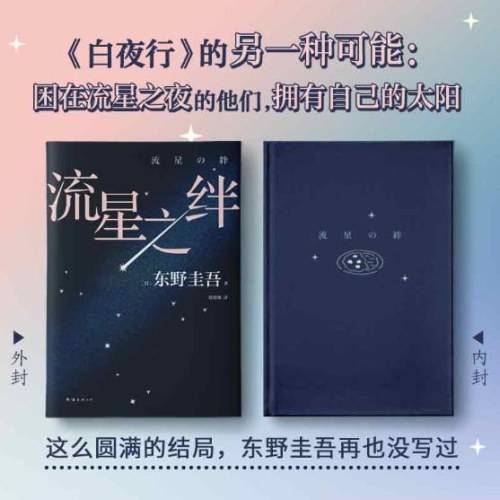 东野圭吾：流星之绊