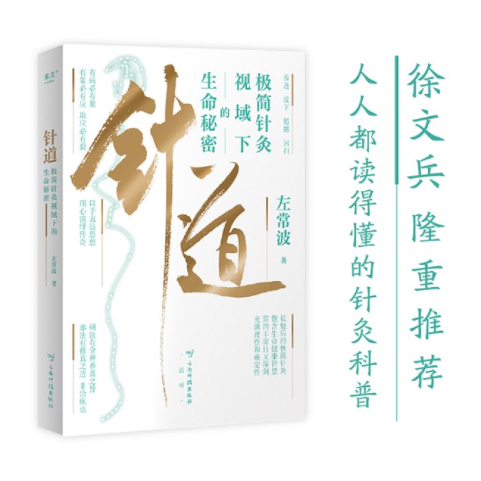 针道：极简针灸视域下的生命秘密（徐文兵推荐！人人读得懂的针灸科普）