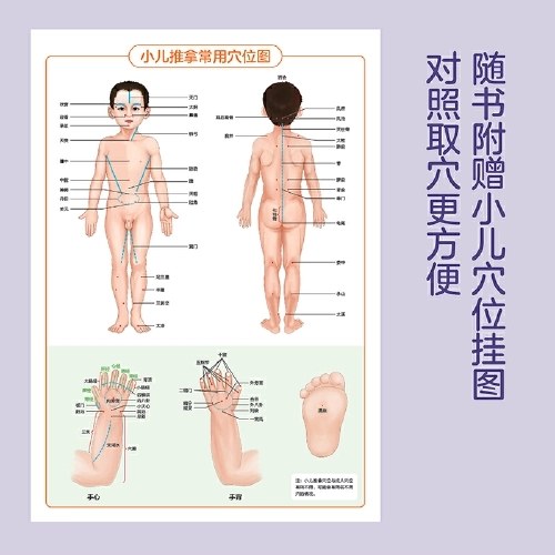 零基础小儿推拿（视频版）