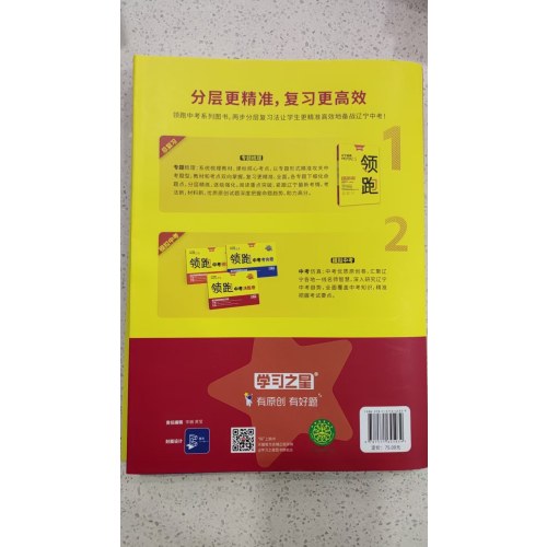 2025领跑 中考语文  总复习（专题梳理）