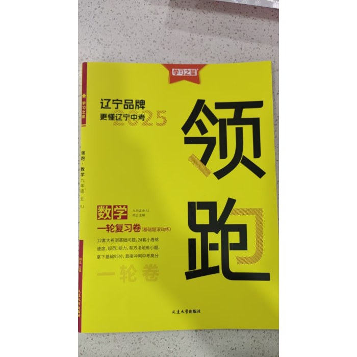 2025领跑 中考数学 一轮复习卷（基础题滚动练）