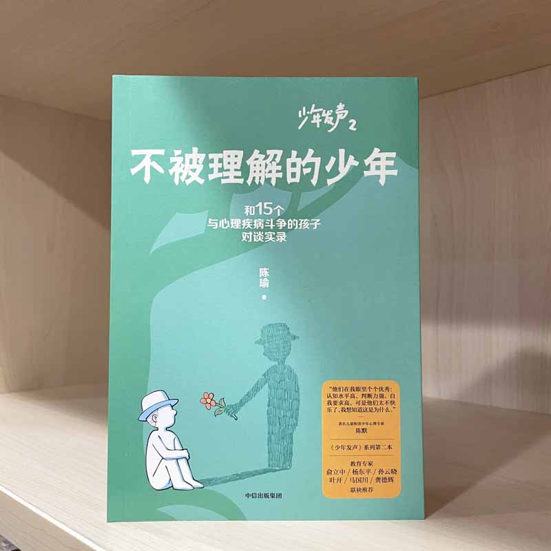 不被理解的少年