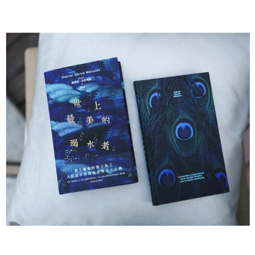 世上最美的溺水者