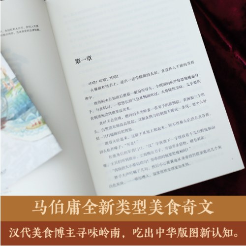 马伯庸：食南之徒（24年长篇历史小说，豆瓣2024年度中国文学榜）