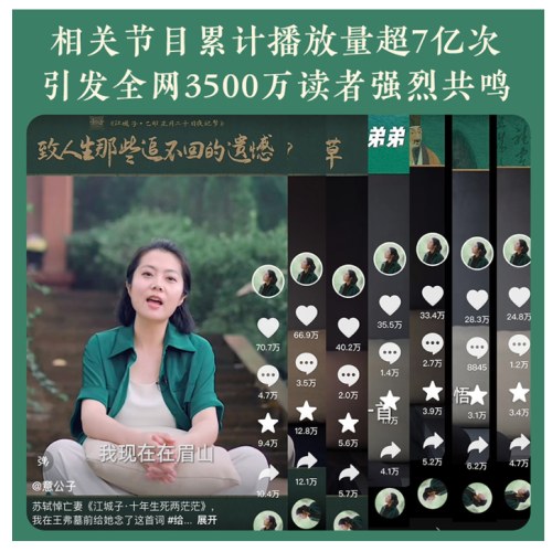 人生得遇苏东坡