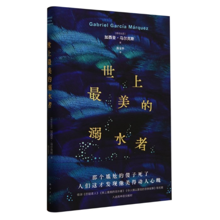 世上最美的溺水者