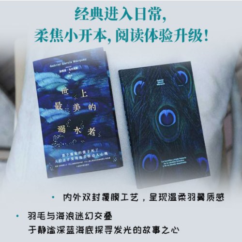 世上最美的溺水者