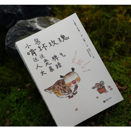 小鸟啃坏玫瑰还说人类脾气太暴躁