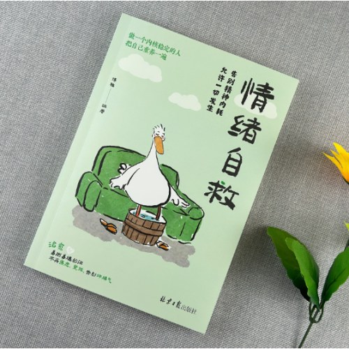 情绪自救 把自己重养一遍 允许一切发生 告别精神内耗