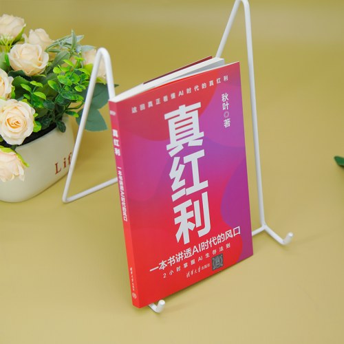 真红利:一本书讲透AI时代的风口