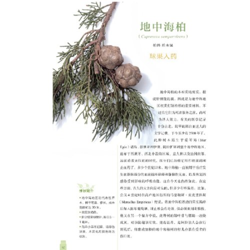 植物文化：药用植物