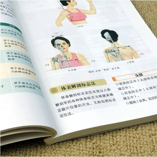 一学就会头耳按摩