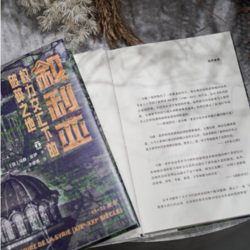 好望角丛书·叙利亚：权力交汇下的破碎之地