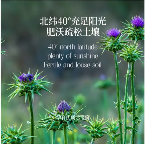 晟麦零反水飞蓟油500ml/瓶-----1瓶装