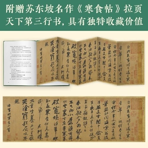 人生得遇苏东坡