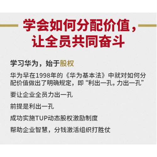 力出一孔：企业如何通过股权激活员工 洪千武 打胜仗