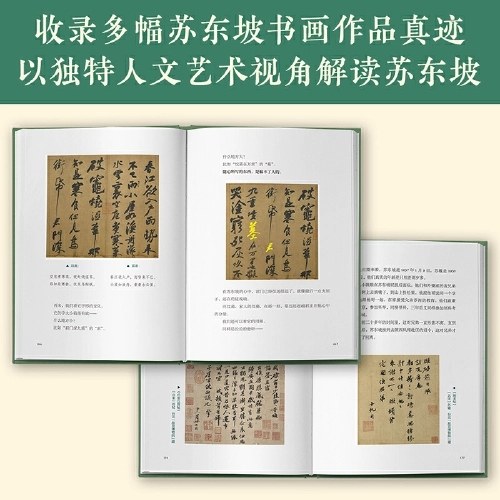 人生得遇苏东坡