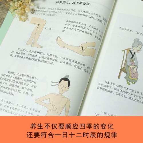 漫画黄帝内经：二十四节气+十二时辰养生智慧（全两册）