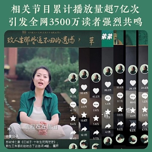 人生得遇苏东坡
