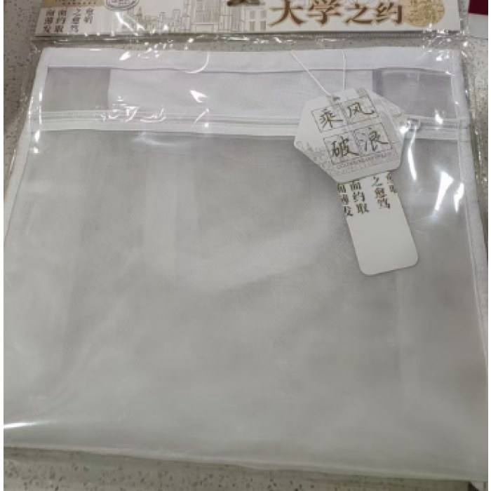 CY-B30211理想学府手提袋(颜色随机）