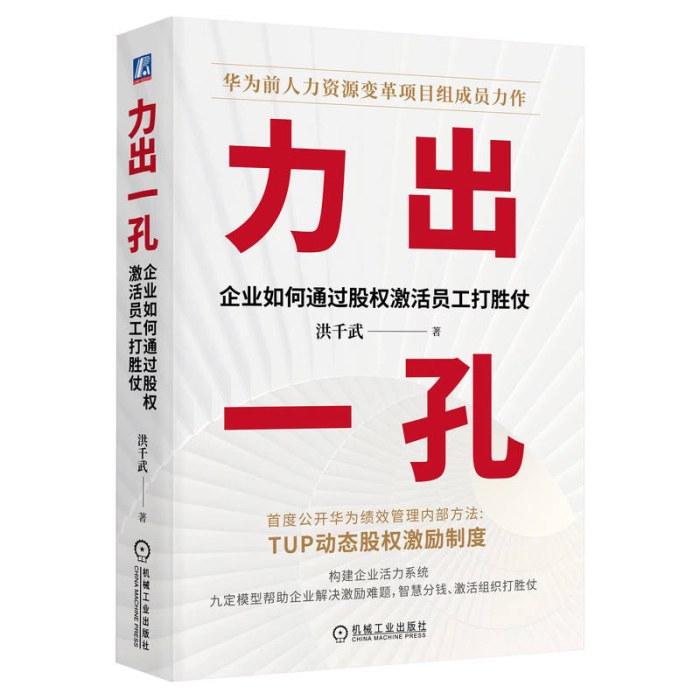 力出一孔：企业如何通过股权激活员工 洪千武 打胜仗